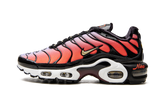 AIR MAX PLUS MNS WMNS"Sisterhood" DO6115 500