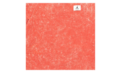 Jordan Flight Washed Crewneck Sweatshirt WMNS "Lobster" DQ4601 605