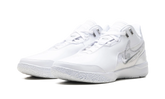 Zoom Lebron NXXT GEN AMPD "White Light Smoke Grey" FJ1566 102