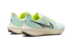 Air Zoom Pegasus 39 "Green" DH4071-301