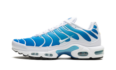 Air Max Plus "Blue Gaze" 852630 411