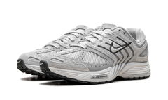 Air Peg 2K5 WMNS"Pure Platinum" HJ5271 001