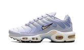 Air Max Plus WMNS"Daybreak" DZ3670 004