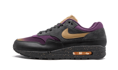 Air Max 1 Premium "Fade Pack" 875844 002