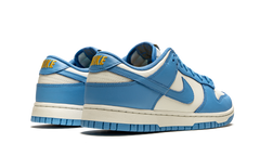 DUNK LOW WMNS"Coast" DD1503 100
