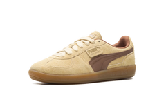 Palermo OG "Chamomile Brown Mushroom" 397251 01